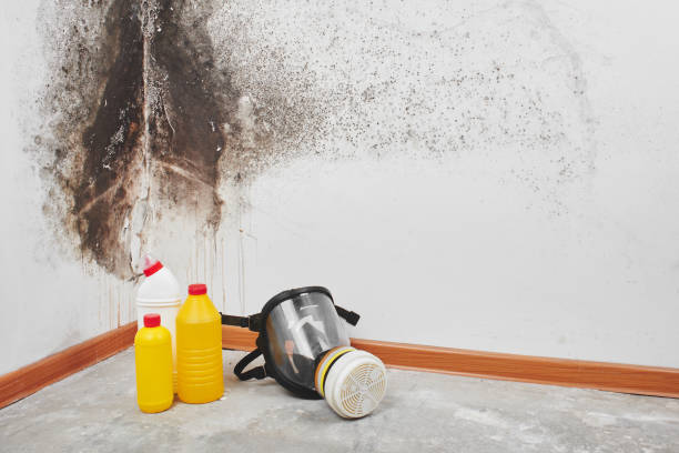 Best Mold Testing  in Crownpoint, NM