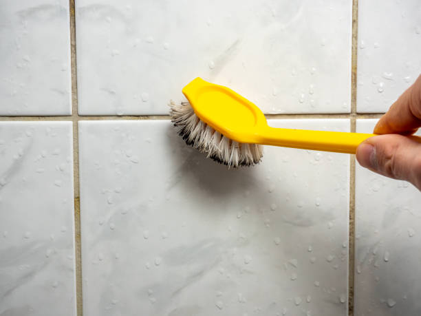 Best Mold Testing and Removal  in Crownpoint, NM