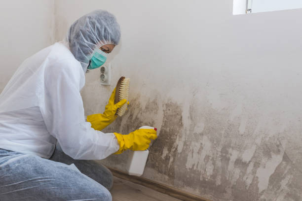 Mold Testing and Removal in Crownpoint, NM
