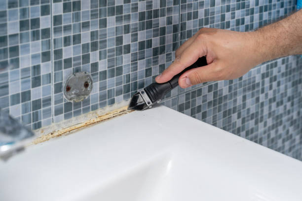 Best Mold Testing  in Crownpoint, NM